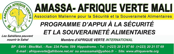 AMASSA AFRIQUE VERTE MALI